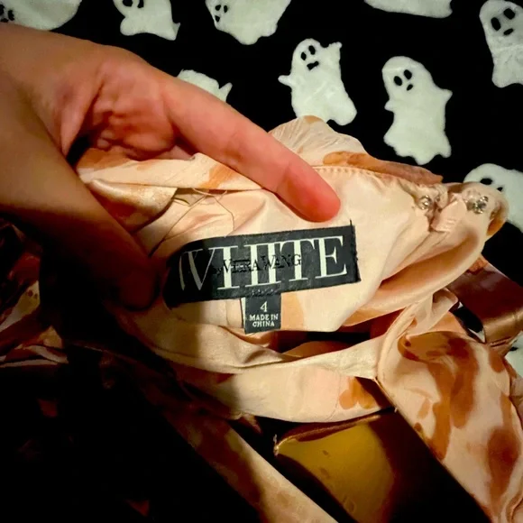 Carrie costume - Picture 2 of 9